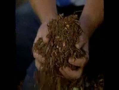 Choosing and Using Mulch