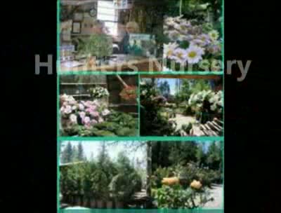 Xeriscape Garden Tour