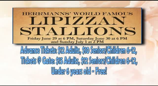 Royal Lipizzan Stallions PSA