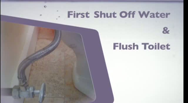 Replace Toilet Flapper