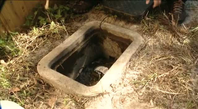 Check your Water Meters for leaks